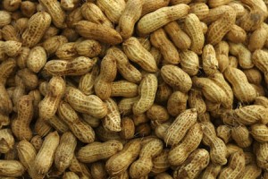 arachides-cacahuetes