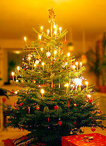 christmas_tree