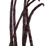 gousses_vanille_glace_vanille